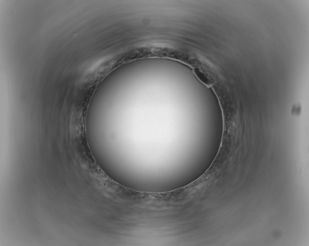 X0000090411014200707272044