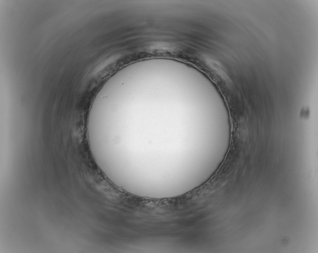 X0000090411015200707272044
