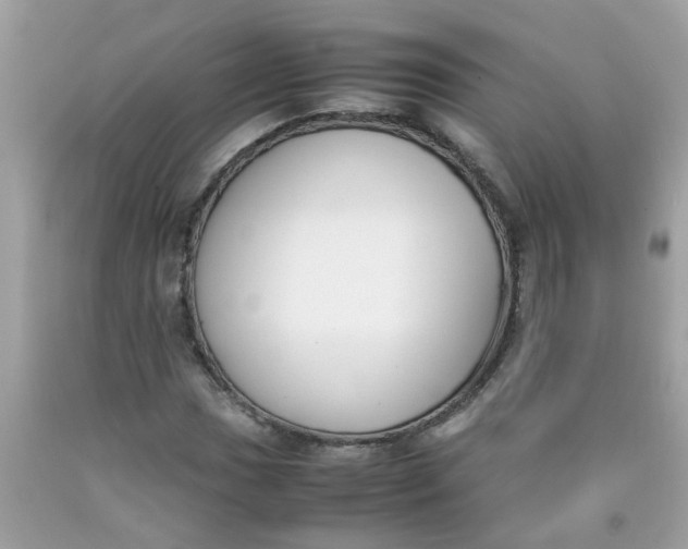 X0000090411017200707272044