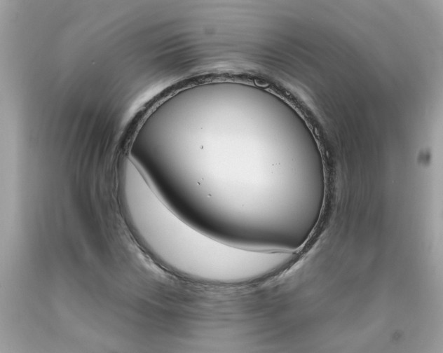 X0000090411018200707272044