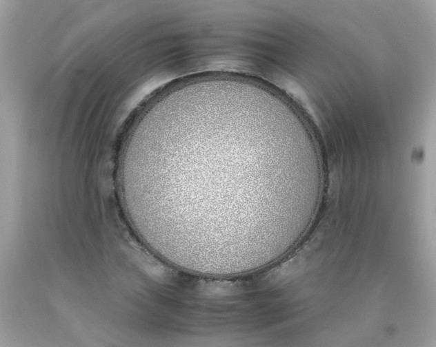 X0000090411019200707272044