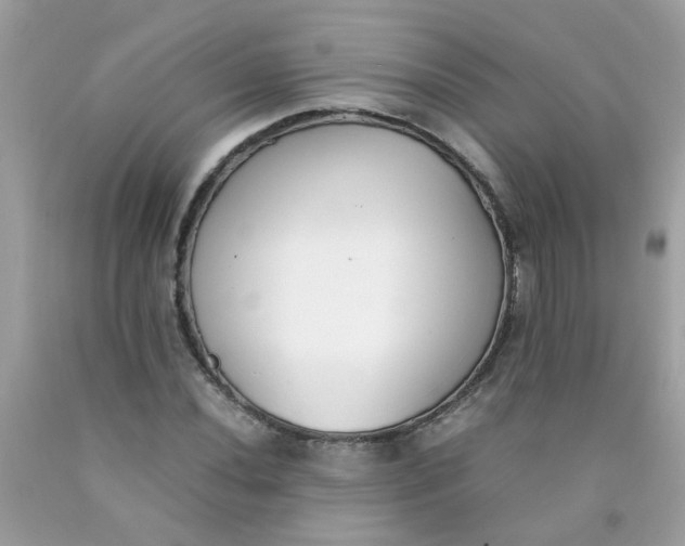 X0000090411020200707272044