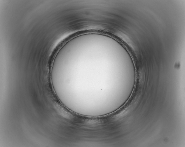 X0000090411021200707272044