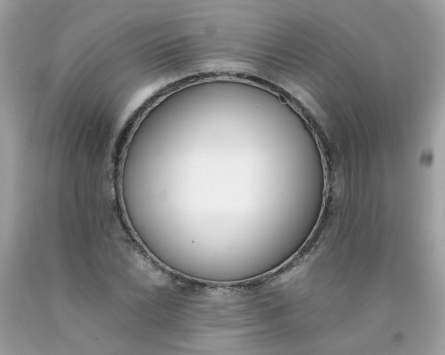X0000090411022200707272044