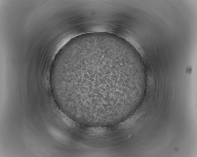 X0000090411023200707272044