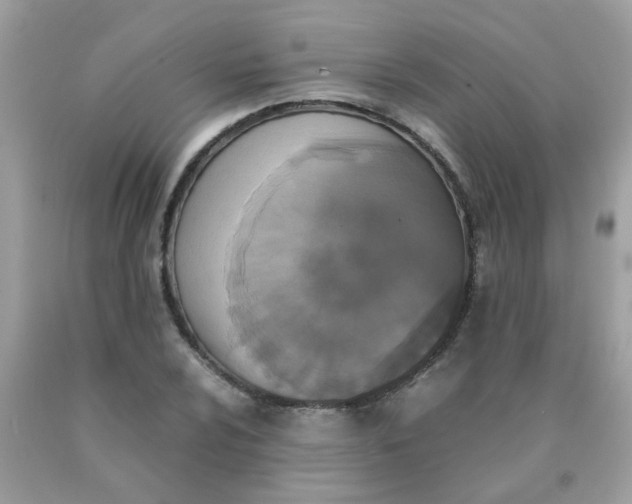 X0000090411024200707272044