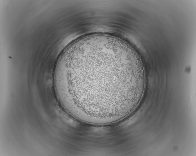 X0000090411025200707272044