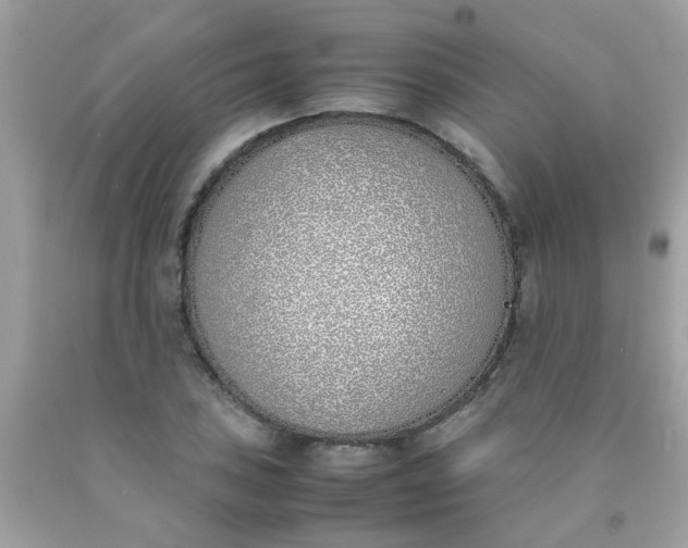 X0000090411027200707272044