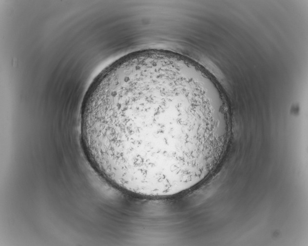 X0000090411028200707272044