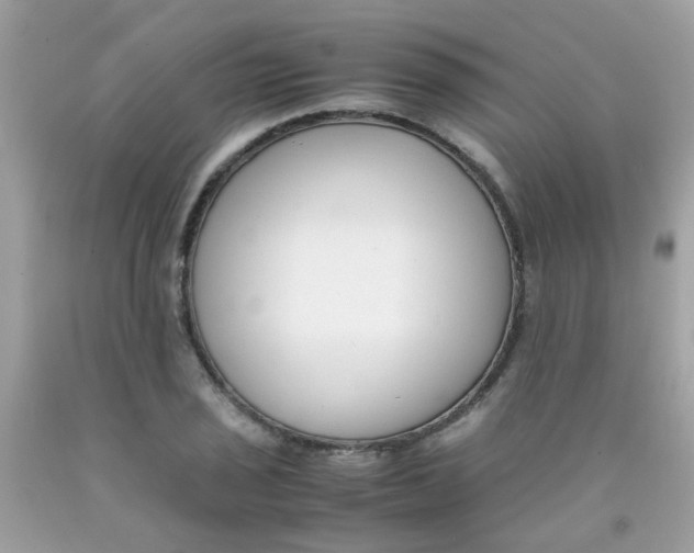 X0000090411029200707272044