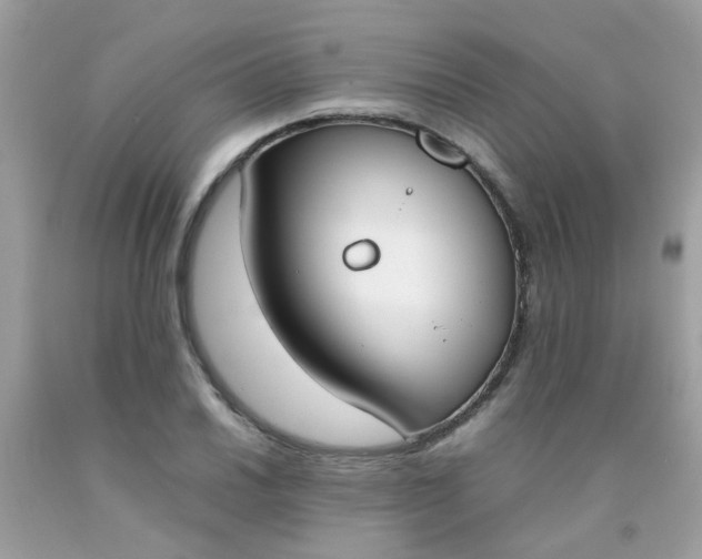 X0000090411030200707272044