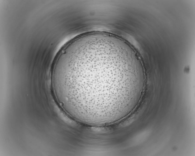 X0000090411032200707272044