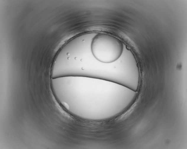 X0000090411033200707272044