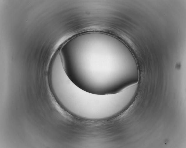X0000090411034200707272044