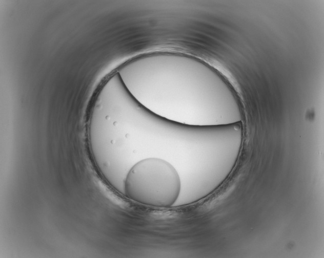 X0000090411037200707272045