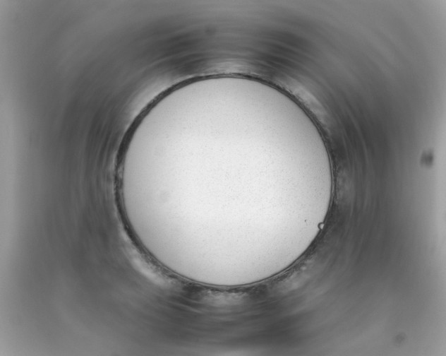 X0000090411039200707272045