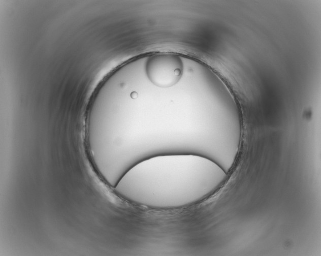 X0000090411040200707272045