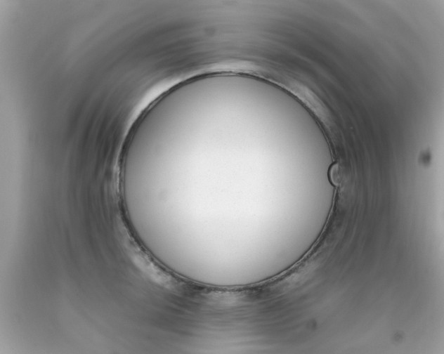X0000090411044200707272045