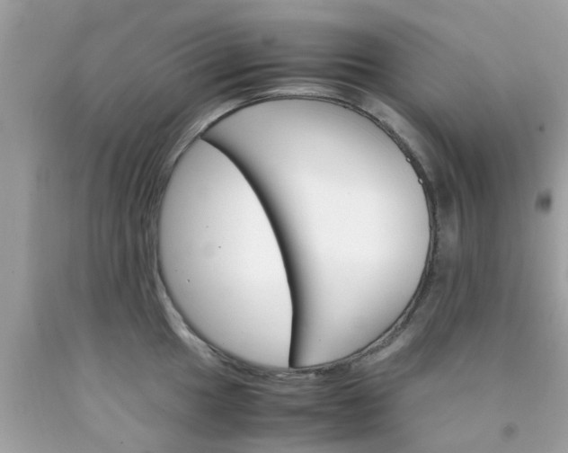X0000090411049200707272045