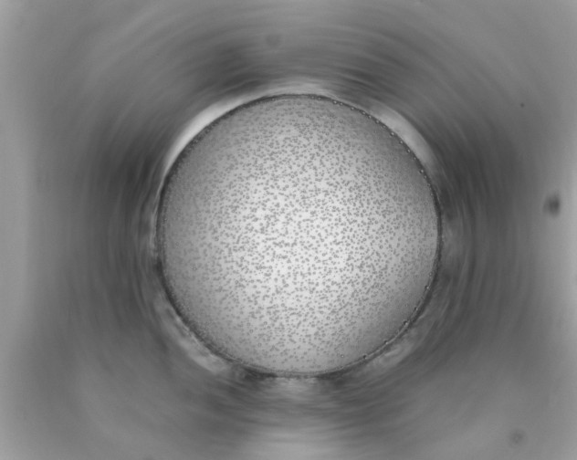 X0000090411052200707272045