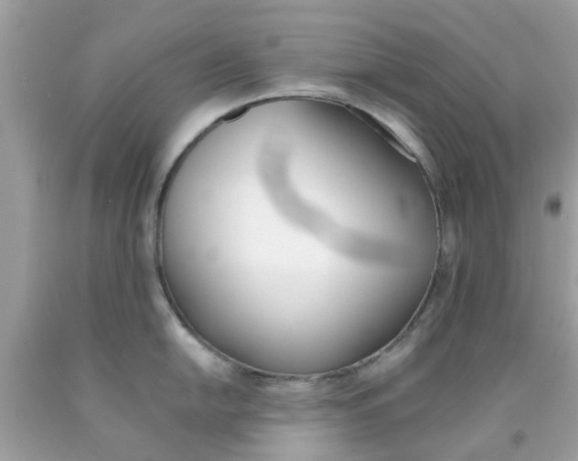 X0000090411054200707272045