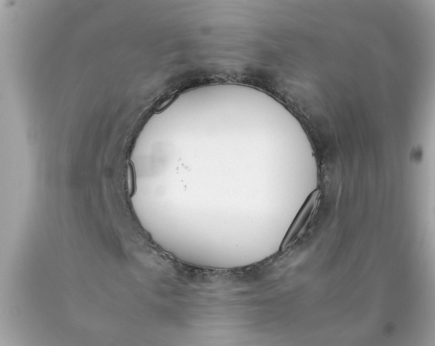 X0000090411057200707272044