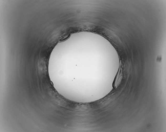 X0000090411058200707272044