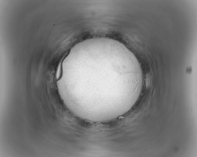 X0000090411059200707272044