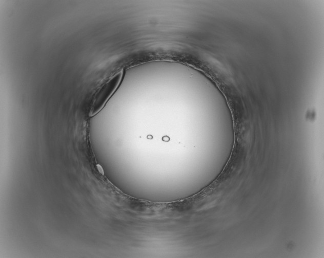 X0000090411061200707272044