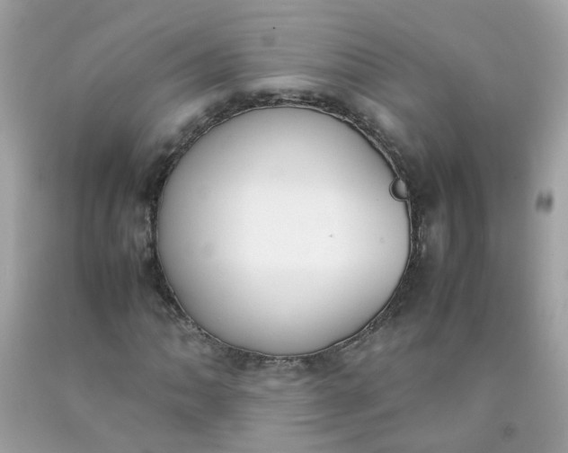 X0000090411062200707272044
