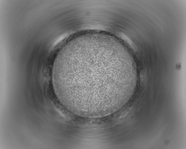 X0000090411064200707272044