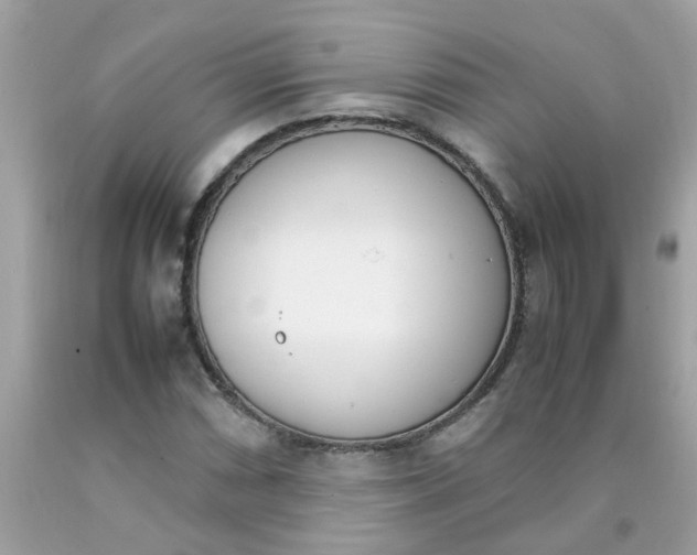 X0000090411066200707272044