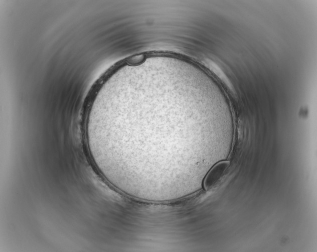 X0000090411068200707272044