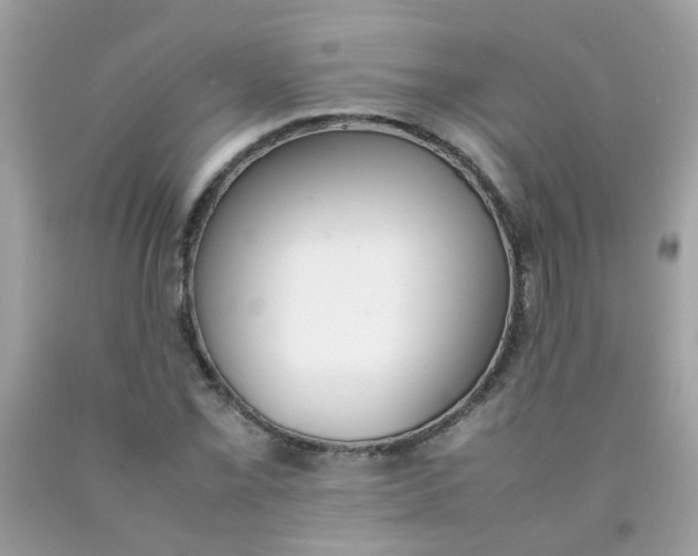 X0000090411069200707272044