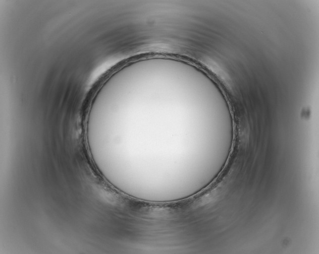 X0000090411070200707272044