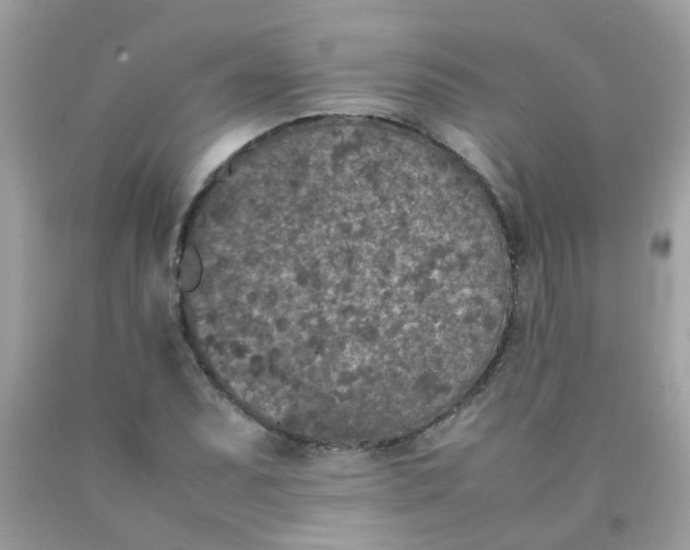 X0000090411071200707272044