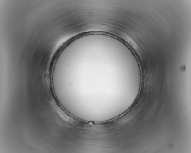 X0000090411072200707272044