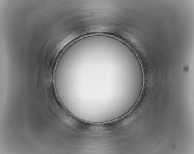 X0000090411073200707272044
