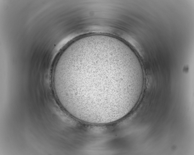 X0000090411074200707272044
