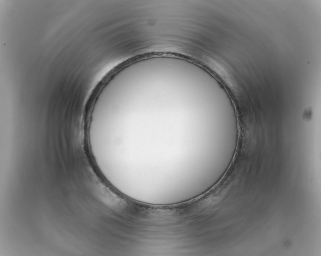 X0000090411076200707272044