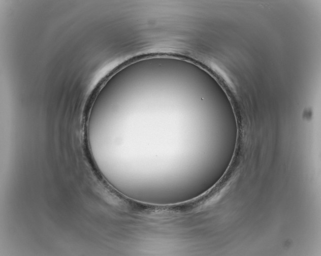 X0000090411077200707272044