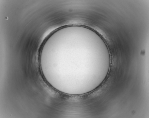 X0000090411078200707272044