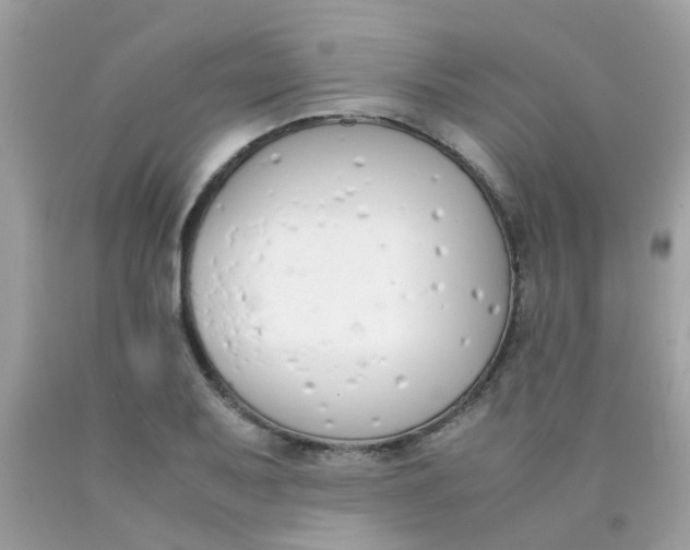X0000090411079200707272044