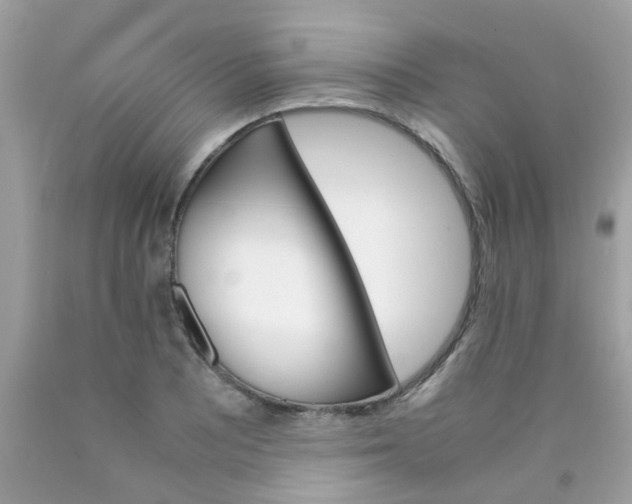 X0000090411081200707272044
