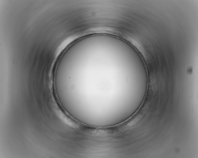 X0000090411082200707272044