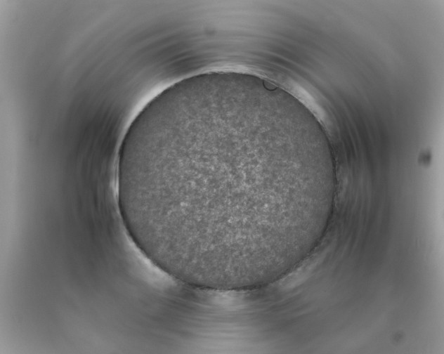 X0000090411084200707272044