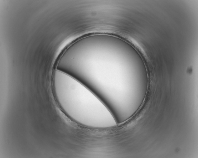 X0000090411085200707272044