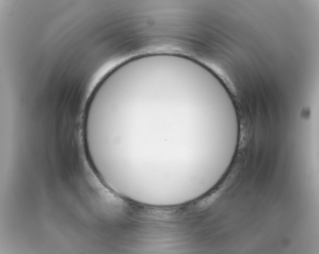 X0000090411086200707272044