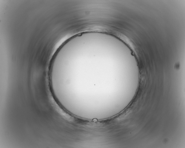 X0000090411091200707272044