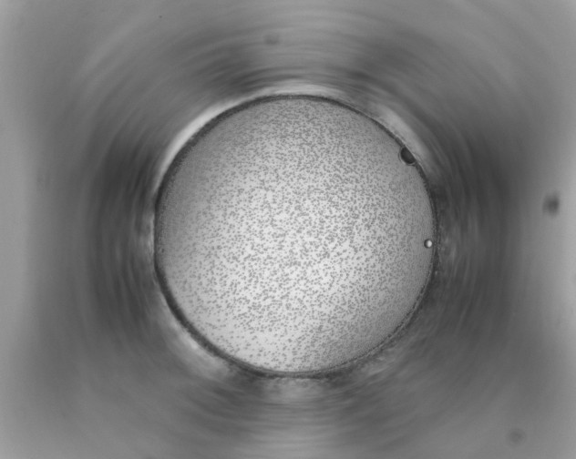 X0000090411092200707272044